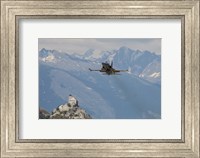 Framed Swiss Air Force F-5E Tigers Above Sion Air Base, Sion, Switzerland