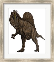 Framed Oxalaia Dinosaur from the Late Cretaceous Period