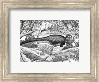 Framed Black ink Drawing of Extinct Animals From the Hell Creek Formation