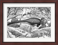 Framed Black ink Drawing of Extinct Animals From the Hell Creek Formation