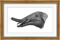 Framed Pencil Drawing of Gomphotherium