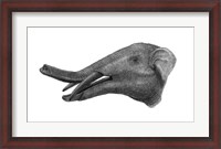 Framed Pencil Drawing of Gomphotherium