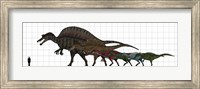 Framed Spinosauridae Size chart