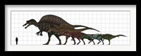 Framed Spinosauridae Size chart