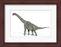 Framed 3D Rendering of a Brachiosaurus Dinosaur