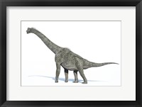 Framed 3D Rendering of a Brachiosaurus Dinosaur
