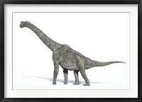 Framed 3D Rendering of a Brachiosaurus Dinosaur