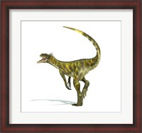 Framed Herrerasaurus dinosaur on white background