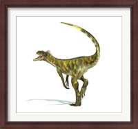 Framed Herrerasaurus dinosaur on white background