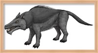 Framed Andrewsarchus, an Ungulate Mammal from the Eocene Epoch
