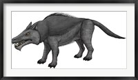 Framed Andrewsarchus, an Ungulate Mammal from the Eocene Epoch