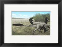 Framed Two Dromaeosaurus Dinosaurs Sunbathing in the Cretaceous Period