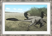 Framed Two Dromaeosaurus Dinosaurs Sunbathing in the Cretaceous Period