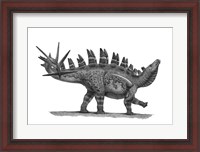 Framed Pencil Drawing of Chungkingosaurus Jiangbeiensis