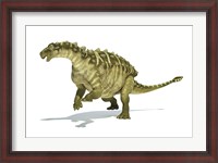 Framed Talarurus Dinosaur on White background