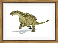 Framed Talarurus Dinosaur on White background