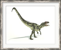 Framed Allosaurus Dinosaur