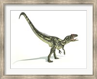 Framed Allosaurus Dinosaur