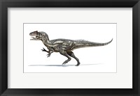 Framed Allosaurus Dinosaur on White Background