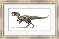 Framed Allosaurus Dinosaur on White Background