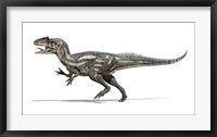 Framed Allosaurus Dinosaur on White Background