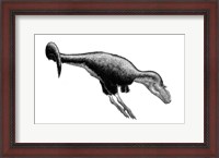 Framed Black Ink Drawing of Gorgosaurus Libratus