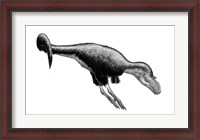 Framed Black Ink Drawing of Gorgosaurus Libratus
