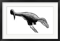 Framed Black Ink Drawing of Gorgosaurus Libratus