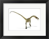 Framed Coelophysis Dinosaur