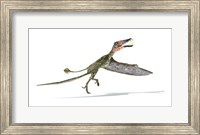 Framed Dorygnathus Dinosaur