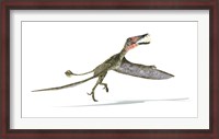 Framed Dorygnathus Dinosaur