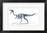 Framed 3D Rendering of a Coelophysis Rinosaur