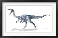 Framed 3D Rendering of a Coelophysis Rinosaur