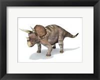 Framed 3D Rendering of a Triceratops Dinosaur