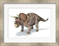 Framed 3D Rendering of a Triceratops Dinosaur
