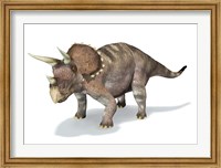 Framed 3D Rendering of a Triceratops Dinosaur