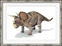 Framed 3D Rendering of a Triceratops Dinosaur
