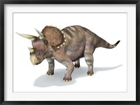 Framed 3D Rendering of a Triceratops Dinosaur