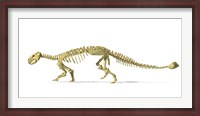 Framed 3D Rendering of an Ankylosaurus Dinosaur Skeleton