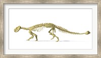 Framed 3D Rendering of an Ankylosaurus Dinosaur Skeleton