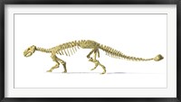 Framed 3D Rendering of an Ankylosaurus Dinosaur Skeleton