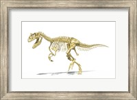 Framed 3D Rendering of an Allosaurus Dinosaur Skeleton