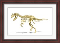 Framed 3D Rendering of an Allosaurus Dinosaur Skeleton