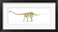 Framed 3D Rendering of a Diplodocus Dinosaur Skeleton