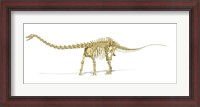 Framed 3D Rendering of a Diplodocus Dinosaur Skeleton