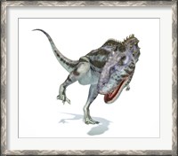 Framed Majungasaurus Dinosaur on White Background