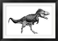 Framed Black Ink Drawing of Albertosaurus Sarcophagus