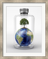 Framed Planet Earth with a Tree on Top, inside a Glass Bottle