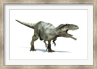 Framed 3D Rendering of a Giganotosaurus Dinosaur