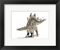 Framed 3D Rendering of a Stegosaurus Dinosaur